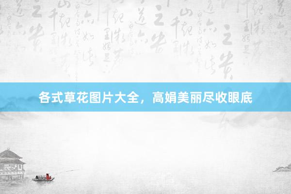 各式草花图片大全，高娟美丽尽收眼底