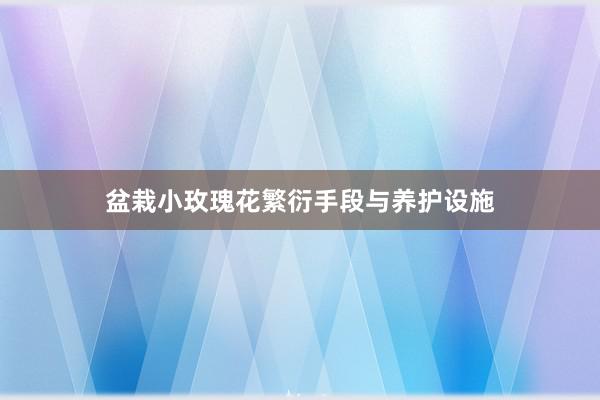 盆栽小玫瑰花繁衍手段与养护设施